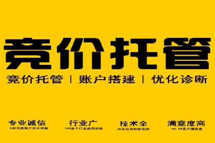 SEM推广案例：打造高效广告投放策略